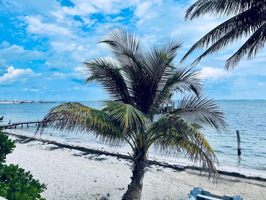 Punta Me Apartments With Nice Sea View & Beach Cancún Esterno foto
